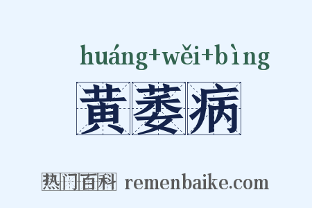 黄萎病是什么意思的图片